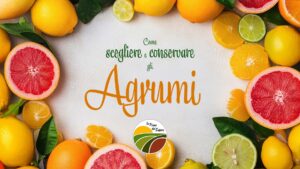 Consigli su Come scegliere e conservare gli agrumi